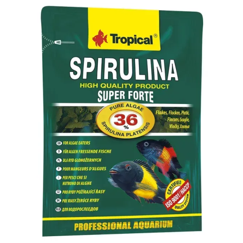 Корм для аквариумных травоядных рыб Tropical Super Spirulina Forte хлопья - 12 г