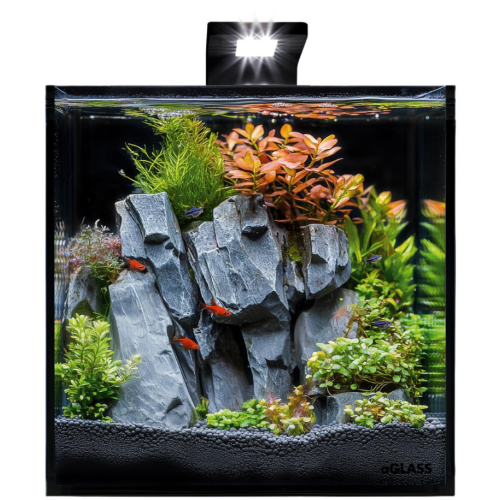  Набір для акваріумів на 20 літрів COLLAR BlackCube з чорною задньою стінкою, 27х27х27 см, скло 4 мм