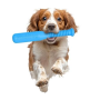 Іграшка для собак у формі біти PitchDog довжина 35 см, діаметр 6 см блакитний