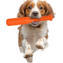 Іграшка для собак у формі біти PitchDog довжина 35 см, діаметр 6 см помаранчевий