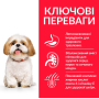  Сухой корм для пожилых собак мелких пород от 7 лет Hill's SP Canine Mature Adult 7+ Small & Miniature Chicken с курицей - 6кг