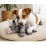 Іграшка для собак All For Paws "Терренс Трицератопс" 30 см