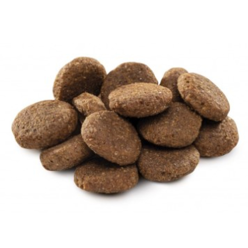 Сухой корм Brit Premium Dog Senior L+XL для пожилых собак крупных и гигантских пород со вкусом курицы 3 кг