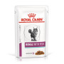 Вологий корм для кішок Royal Canin Renal Feline Fish Pouches при захворюваннях нирок 12 шт х 85 г (риба)