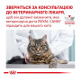 Вологий корм для кішок Royal Canin Urinary S/O Feline Pouches для підтримки сечовидільної системи 12 шт х 85 г