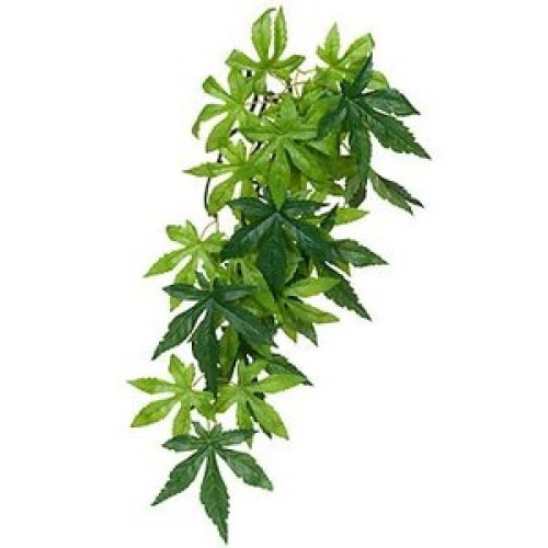 Растение для террариума Exo Terra растение Abuliton L (шёлк)