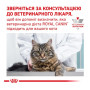 Вологий корм для кішок Royal Canin Sensitivity Control Feline Pouches при харчовій алергії 12 х 85 г