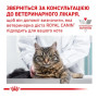 Вологий корм для кішок Royal Canin Gastrointestinal Feline Pouches при захворюваннях шлунково-кишкового тракту 12 шт х 85 г