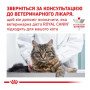 Влажный корм для кошек Royal Canin Gastrointestinal Moderate Calorie Feline при заболеваниях желудочно-кишечного тракта 12 шт х 85 г