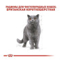 Сухой корм Royal Canin BRITISH SHORTHAIR ADULT для взрослых кошек британской породы 4 (кг)