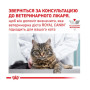 Вологий корм для кішок Royal Canin Diabetic Feline Pouches при цукровому діабеті 12 шт х 85 г