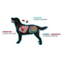 Таблетка Симпарика (ТРИО) от блох и клещей для собак весом от 2.5 до 5 кг 1 таблетка на 35 дней