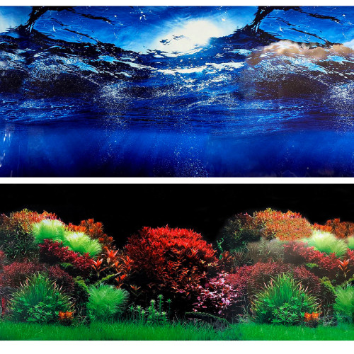 Фон для акваріума Marina двосторонній океан/рослини 10 x 30 см