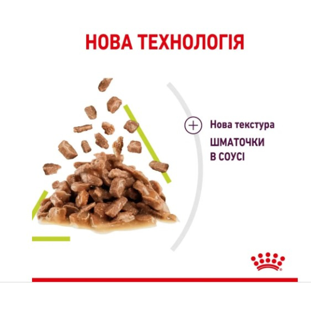 Влажный корм для привередливых к запаху кошек Royal Canin Sensory Smell в соусе 12 шт х 85 г