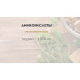 Вологий корм для котів Carpathian Pet Food Salmon in sauce лосось у соусі 100 г