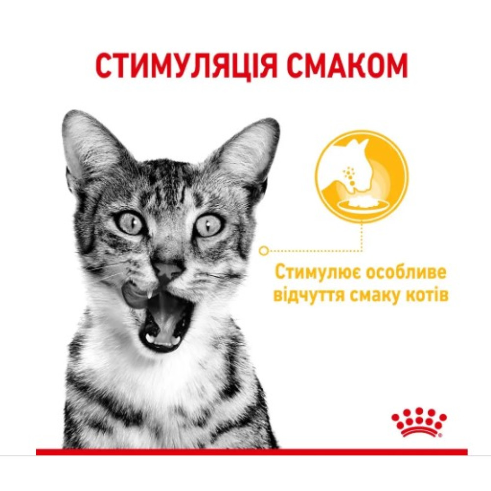 Влажный корм для привередливых к вкусу кошек Royal Canin Sensory Taste в соусе 12 шт х 85 г