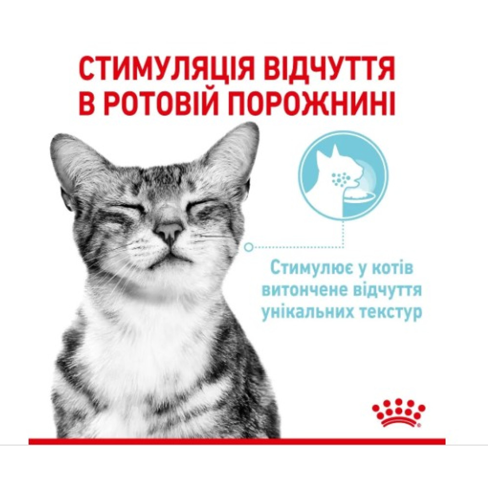 Влажный корм для кошек для стимуляции тактильных рецепторов ротовой полости Royal Canin Sensory Feel в соусе 12 шт х 85 г