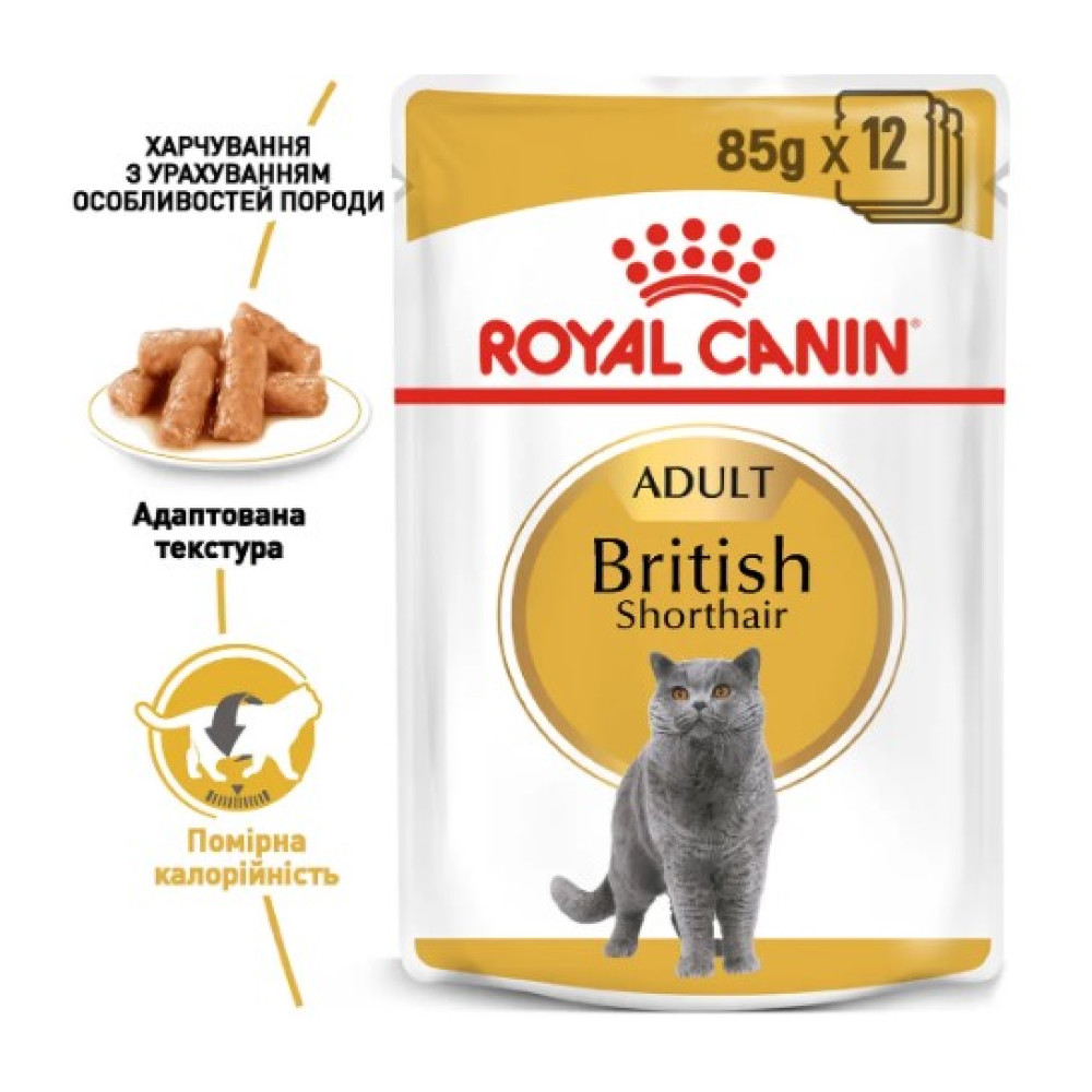 Вологий корм для дорослих кішок породи британська короткошерста Royal Canin British Shorthair Adult 12 шт х 85 г