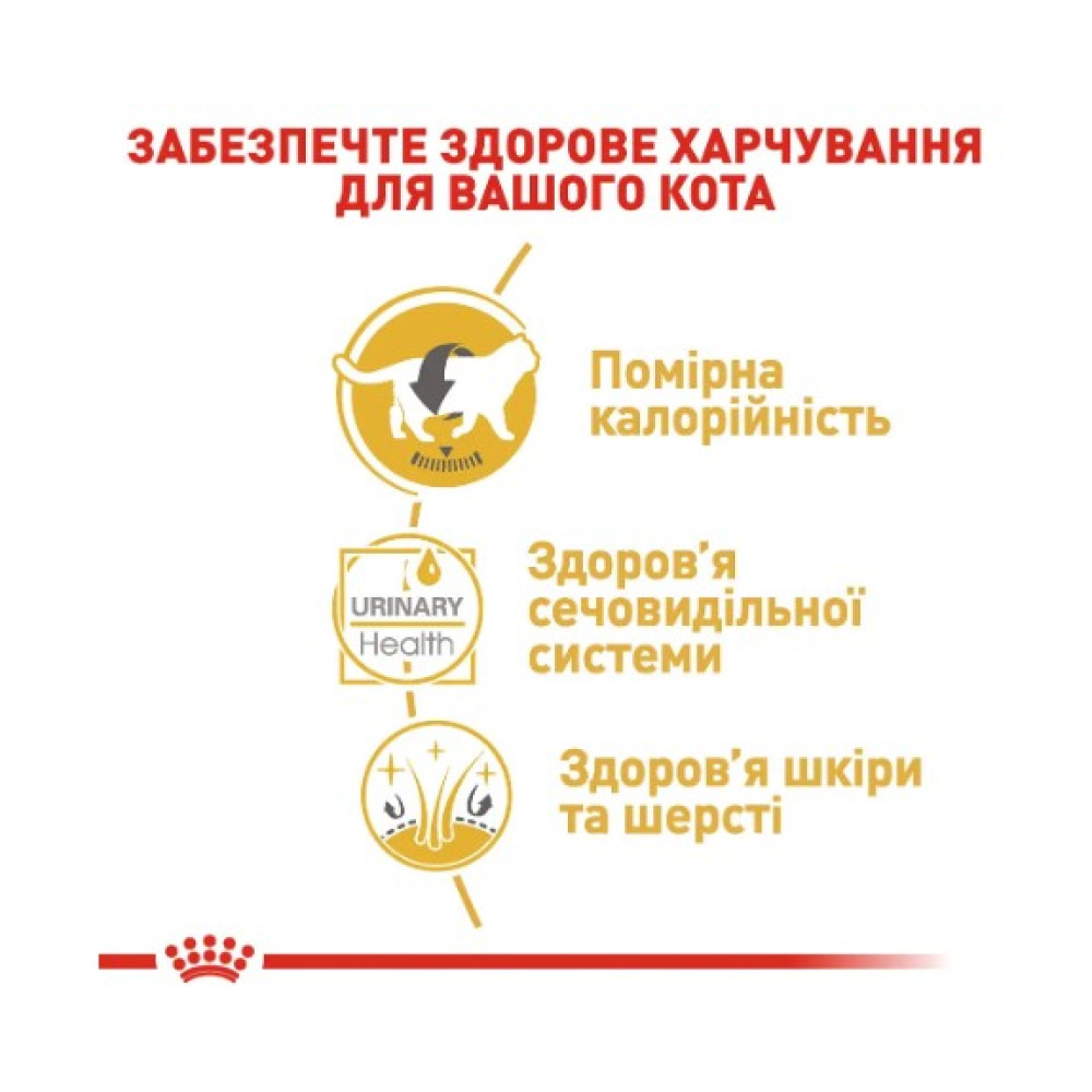 Вологий корм для дорослих кішок породи британська короткошерста Royal Canin British Shorthair Adult 12 шт х 85 г