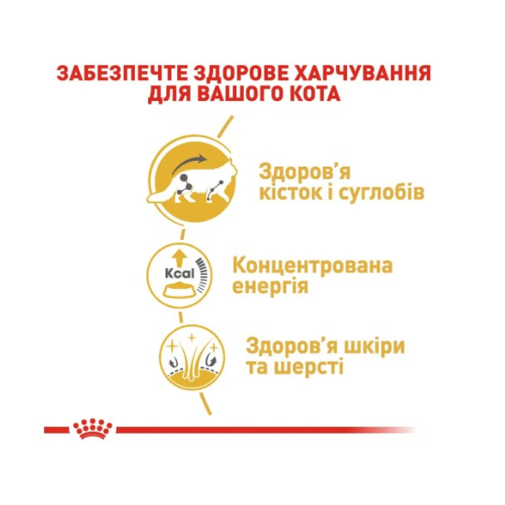 Влажный корм для взрослых кошек породы мейн-кун Royal Canin Maine Coon Adult 12 шт х 85 г