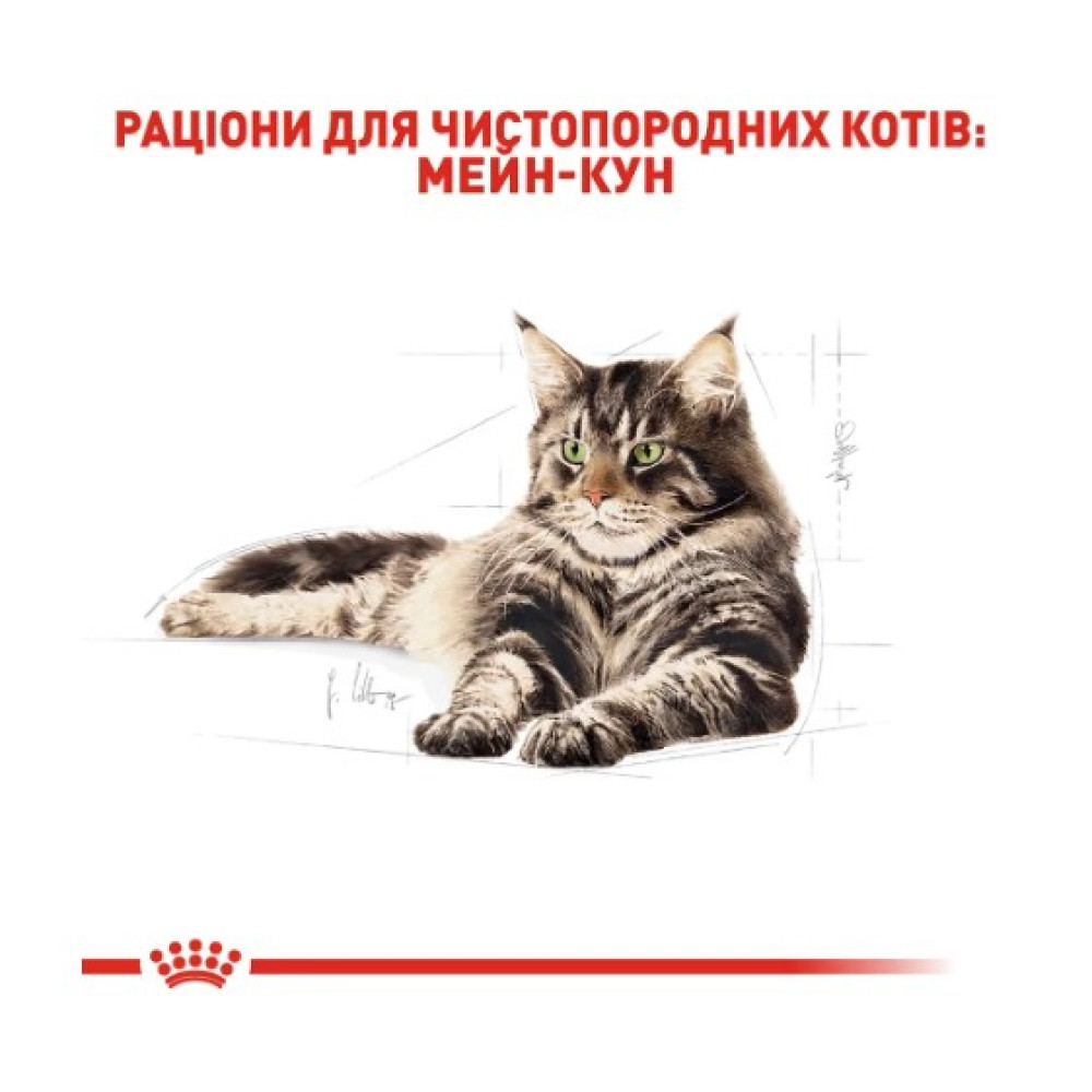 Влажный корм для взрослых кошек породы мейн-кун Royal Canin Maine Coon Adult 12 шт х 85 г