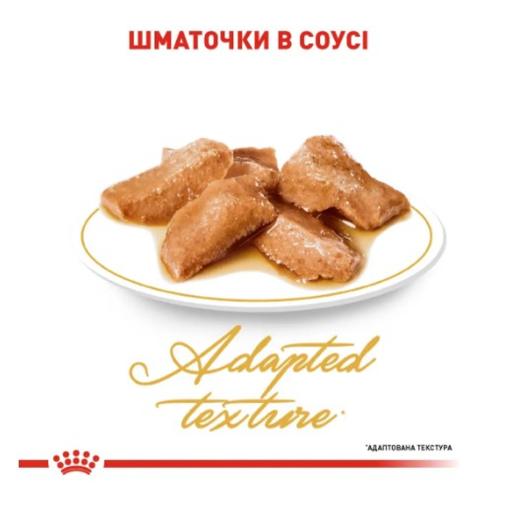 Влажный корм для взрослых кошек породы мейн-кун Royal Canin Maine Coon Adult 12 шт х 85 г