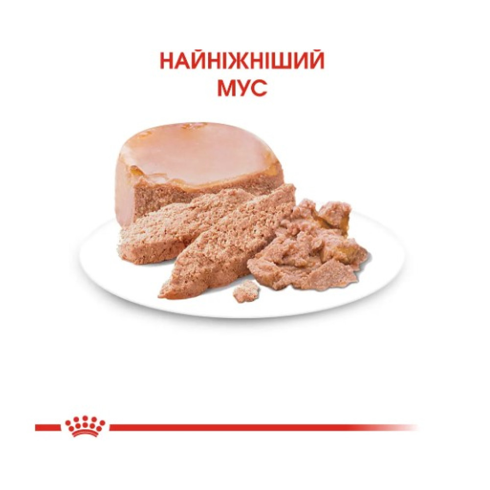 Влажный корм для котят Royal Canin Mother & Babycat, 195 г 