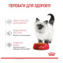 Вологий корм для кошенят Royal Canin Kitten Instinctive у соусі 12 шт х 85 г