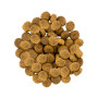 Сухой корм Savory для собак средних пород с индейкой и ягненком 1 (кг)