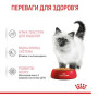 Влажный корм для котят Royal Canin Kitten Instinctive в желе 12 шт х 85 г
