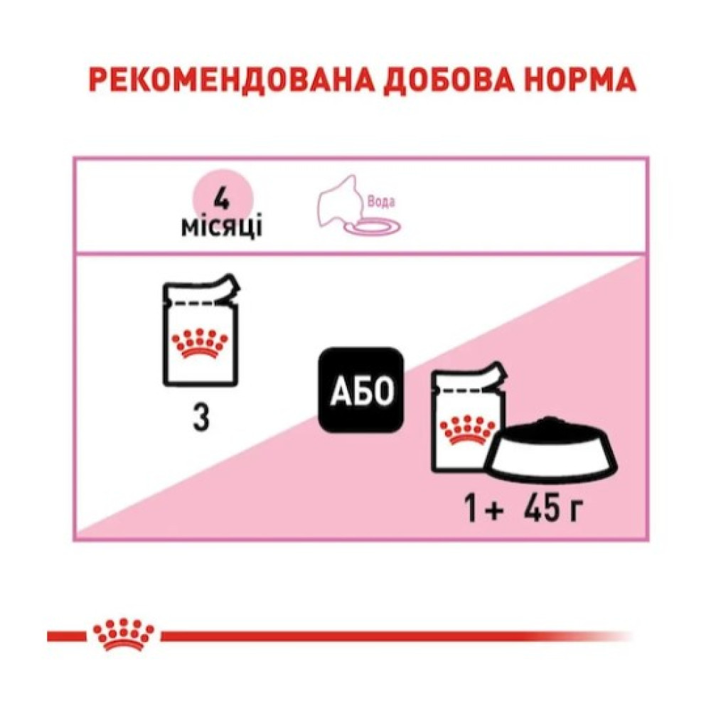 Влажный корм для котят Royal Canin Kitten Loaf в паштете 12 шт х 85 г