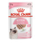 Влажный корм для котят Royal Canin Kitten Loaf в паштете 12 шт х 85 г