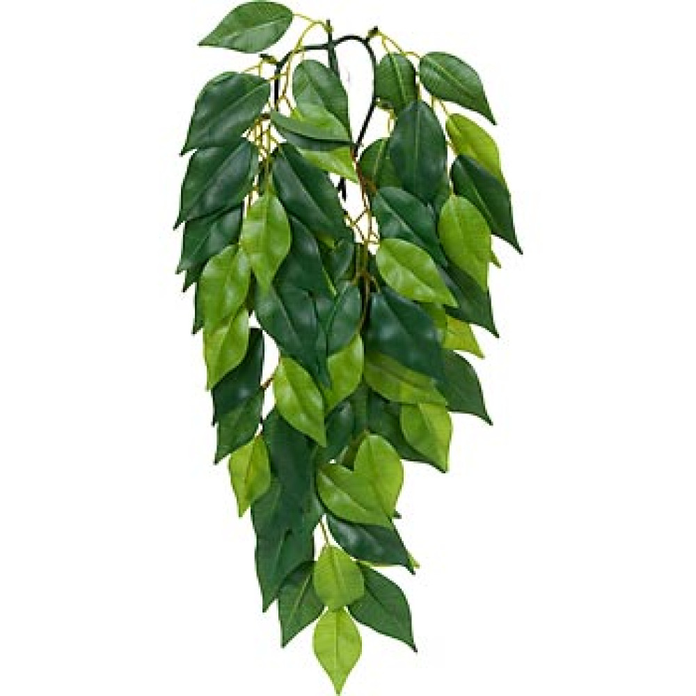 Растение для террариума Exo Terra Ficus medium
