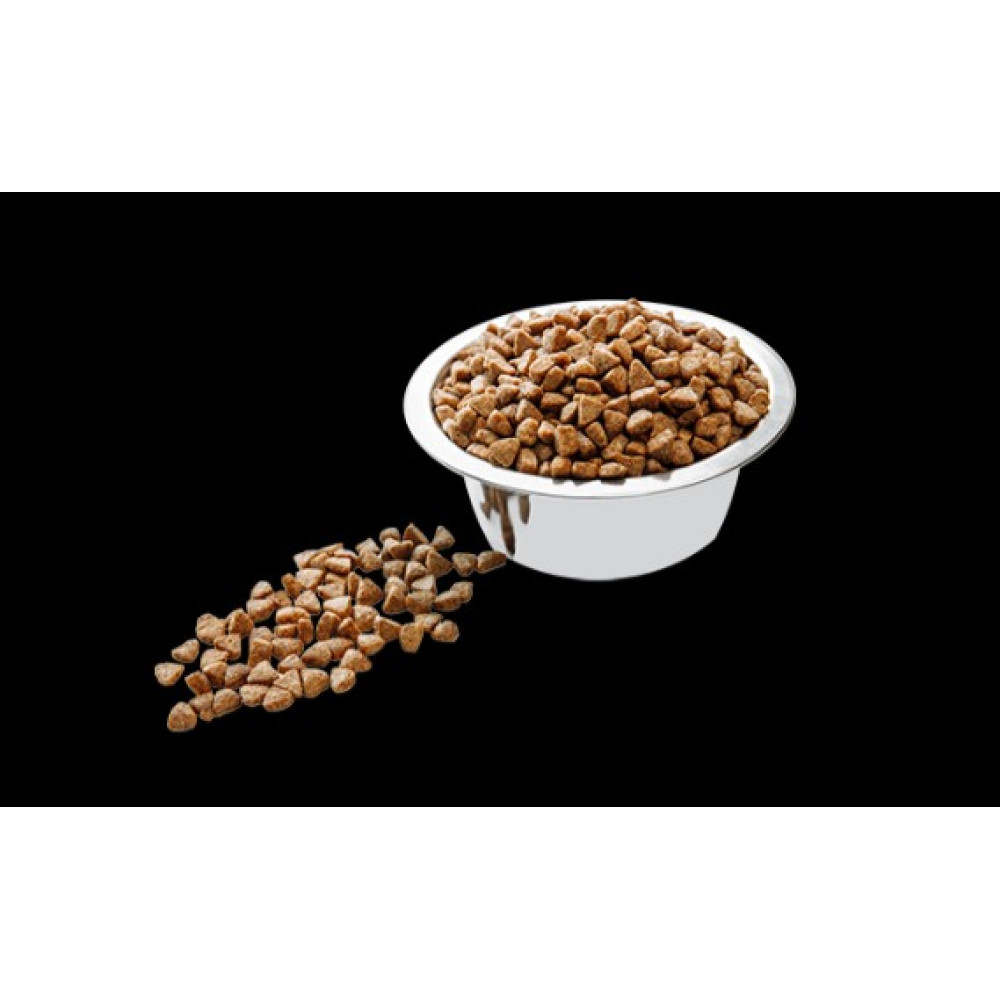 Сухий корм для вагітних та лактуючих кішок Carpathian Pet Food Pregnant 12 (кг)