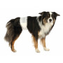 Памперсы для собак (кобелей) Trixie 46-60 см 12шт