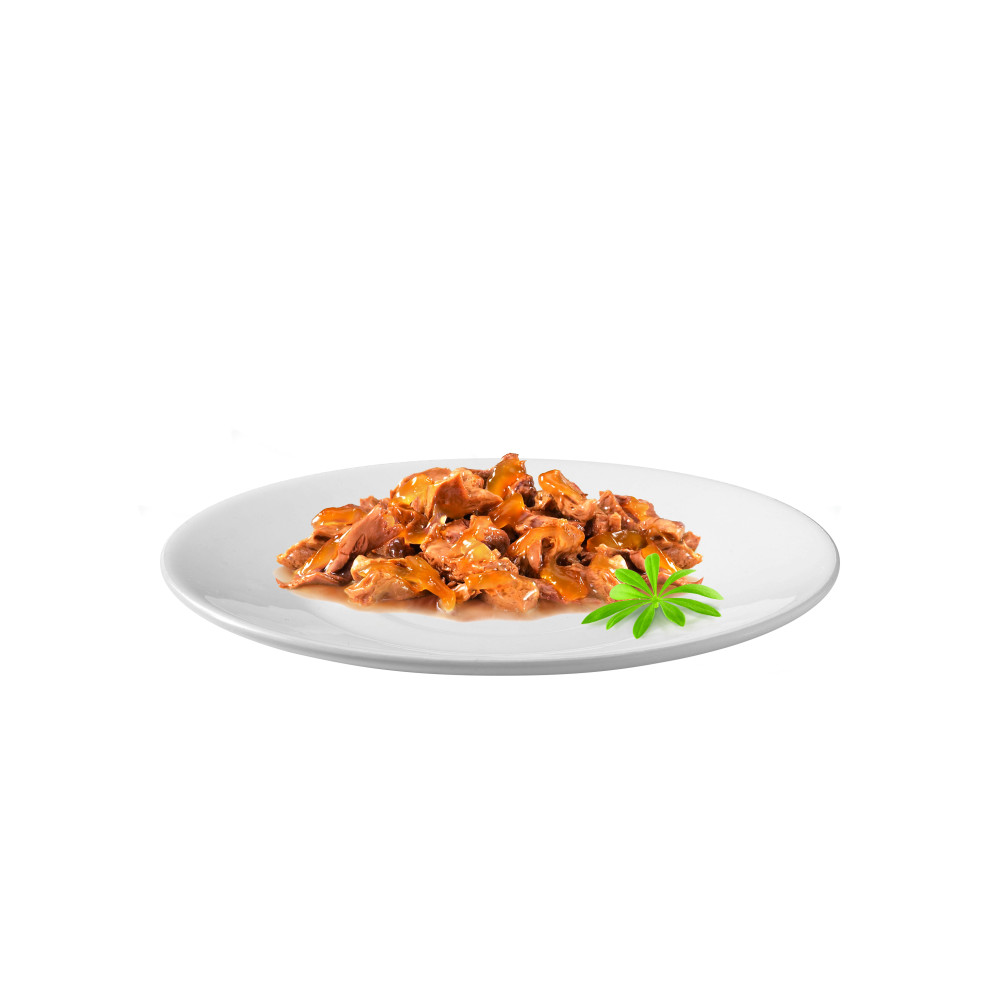 Вологий корм для дорослих кішок Purina Gourmet Perle Duo з океанічною рибою та тунцем 13 шт по 85 г