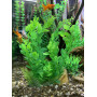 Штучна рослина для акваріума Р094252-25 см