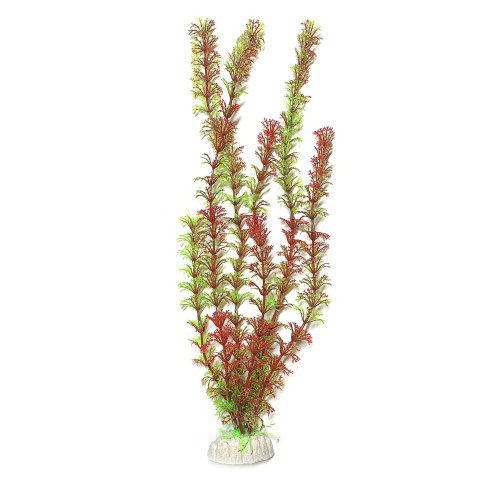 Штучна рослина для акваріума Aquatic Plants "Ambulia" червоно-зелена 40 см