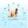 Сухий беззерновий корм для собак Optimeal Dog Beauty Podium Shiny Coat & Dental Care 1.5 (кг)