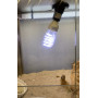 Ультрафіолетова лампа для тропічних рептилій в тераріумі UVB 5.0 - 13w, цоколь Е27