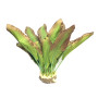 Искусственное растение для аквариума Шёлк SP203S-20 см