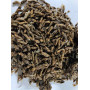 Личинка чорної левки для годування креветки Розенберга 300 (кг)