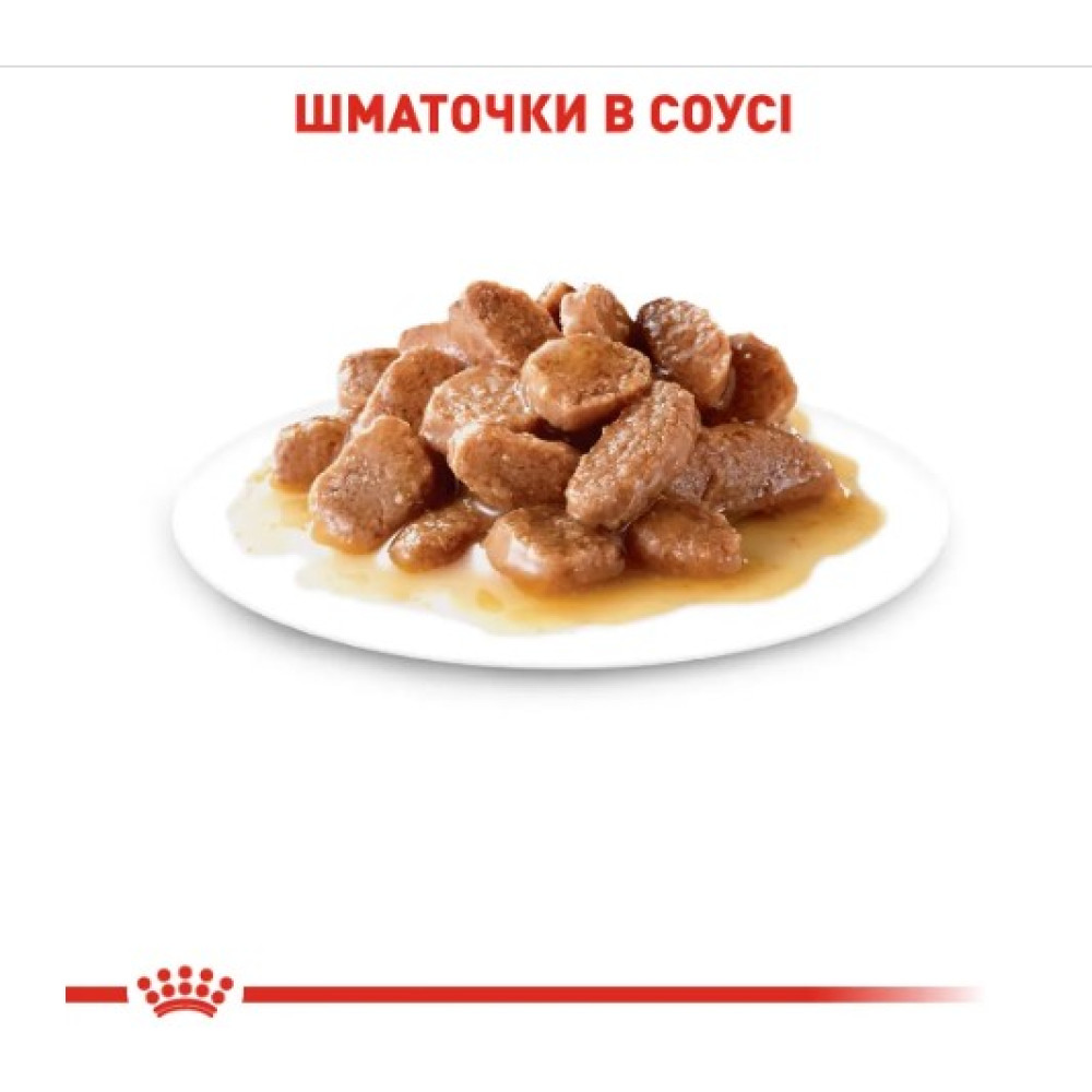 Влажный корм для кошек Royal Canin Instinctive в соусе 12 шт х 85 г