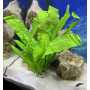 Искусственное растение для аквариума Шёлк SP206M-30 см