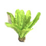 Искусственное растение для аквариума Шёлк SP206S-20 см