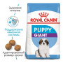 Сухий корм Royal Canin Giant Puppy для цуценят гігантських порід до 8 місяців 1 (кг)