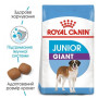 Сухой корм Royal Canin Giant Junior для щенков гигантских пород от 8 до 18/24 мес, 15 кг