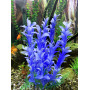 Искусственное растение для аквариума Р034255-20 см