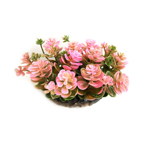 Искусственное растение для аквариума Aquatic Plants 10х10х8 (см) розовое