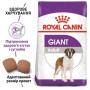 Сухой корм Royal Canin Giant Adult для взрослых собак гигантских пород, 15 кг